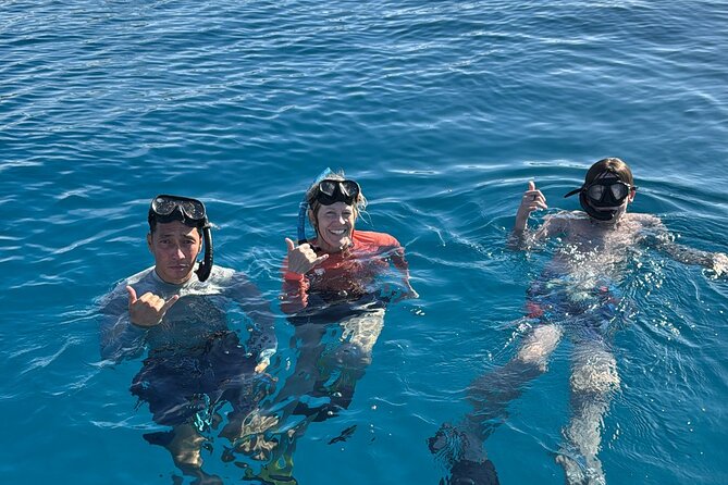 Turtle Canyon Snorkel Tour - Key Points