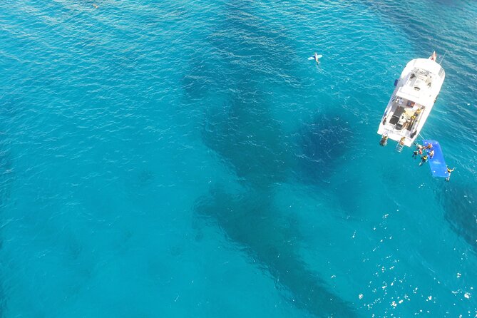 Turtle Canyons Snorkel Excursion From Waikiki, Hawaii - Directions