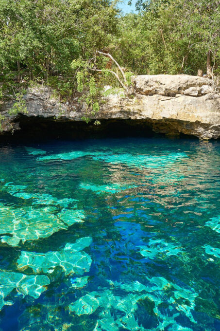 Turtle & Cenote Express (Included Transportation) - Frequently Asked Questions