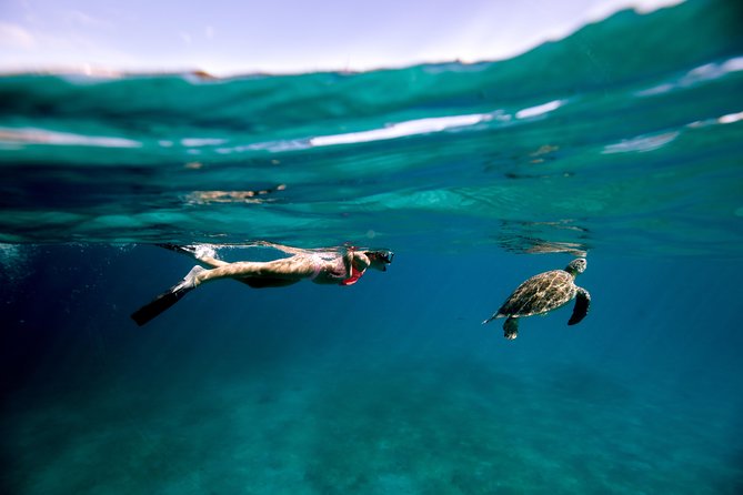 Turtle Cove Catamaran Snorkel and Sail at Little Buck Island - Health and Safety Guidelines