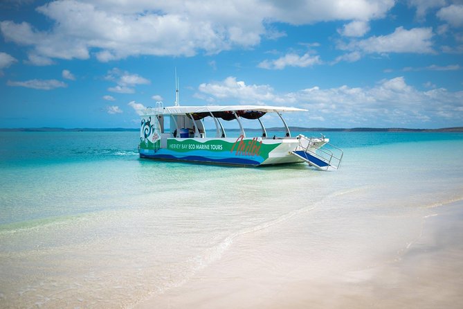 Turtle Discovery & Great Sandy Marine Park Adventure - Snorkeling and Swimming