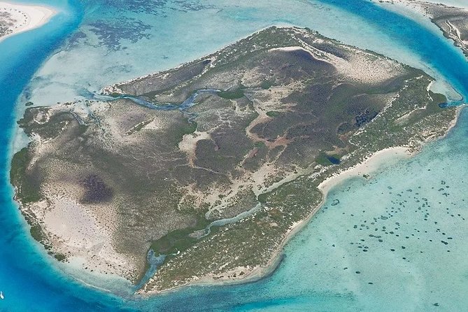 Turtle Eco Tour on Stand-Up Paddleboards or Kayaks Into the National Marine Park - Scenic Views