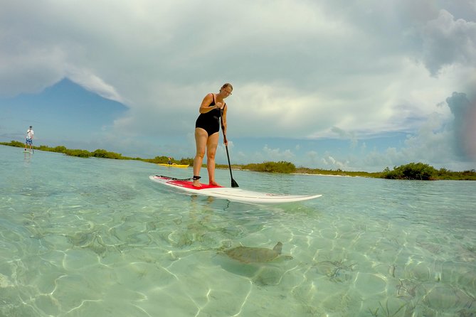Turtle Eco Tour on Stand-Up Paddleboards or Kayaks Into the National Marine Park - Paddling Experience