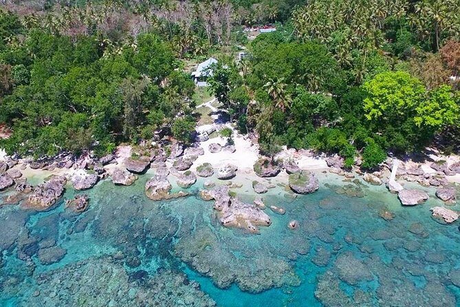 Turtle Encounter with Yumi Tours - Authentic Experiences and Genuine Value