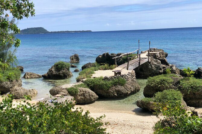 Turtle Encounter with Yumi Tours - Who Will Love This Tour?