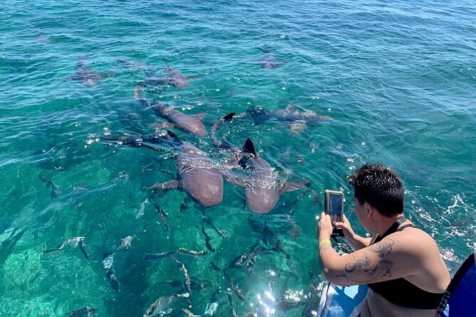 Turtle Garden Snorkeling Tour and Island Break - Customer Experiences