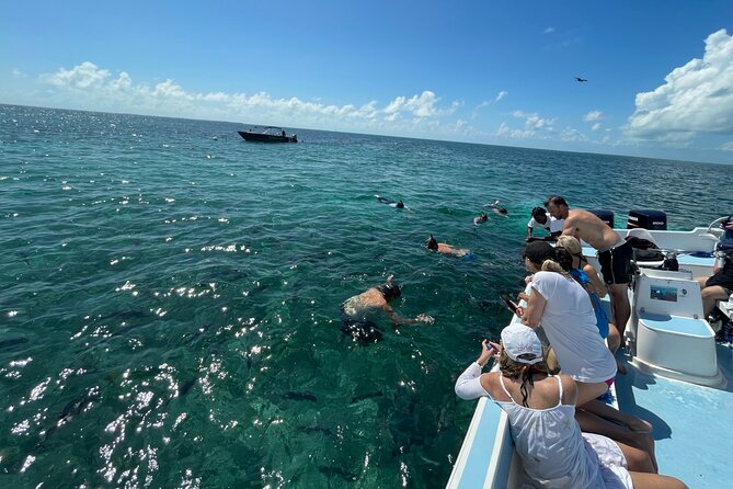 Turtle Garden Snorkeling Tour and Island Break - Key Considerations