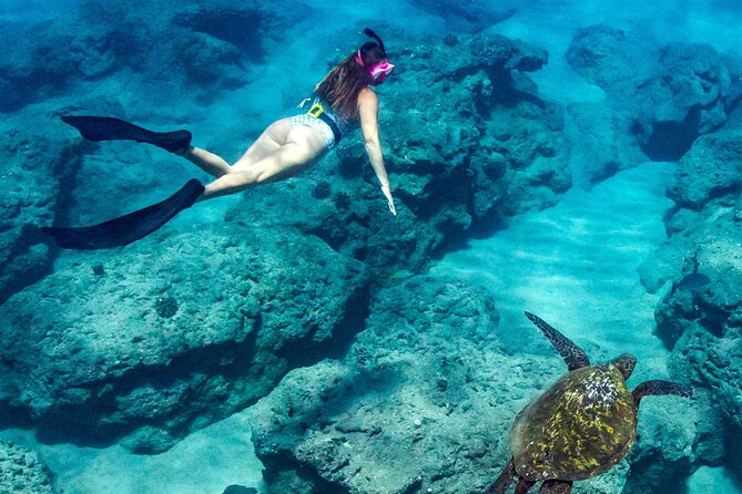 Turtle Gardens West Maui Snorkel Tour - Safety Briefing and Restrictions