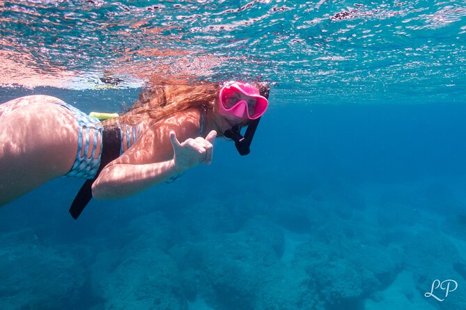 Turtle Gardens West Maui Snorkel Tour - Snorkeling Equipment and Kayaks