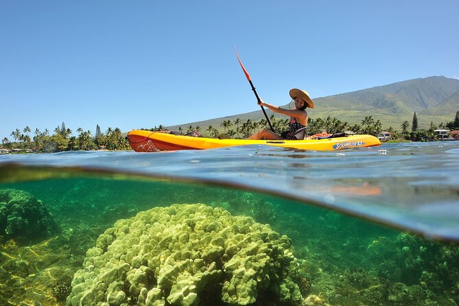 Turtle Reef Kayak Tour of Makena, Maui - Tour Capacity and Age Restrictions