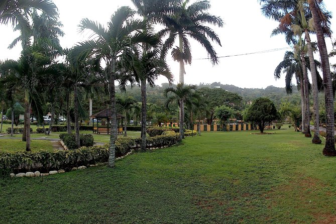 Turtle River Park and Panoramic Sightseeing in the Hills - Pricing and Cancellation