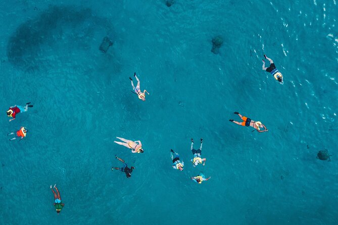 Turtle Snorkeling Adventure in Waikiki (Boat Tour) - Weather and Accessibility
