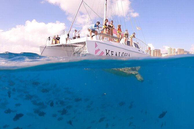 Turtle Snorkeling Adventure in Waikiki (Boat Tour) - Age Requirement