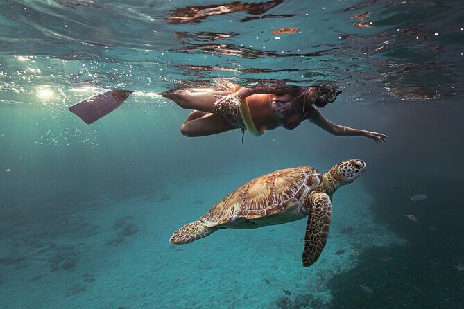 Turtle Snorkeling Aruba: Private Tour with Video - The Snorkeling Spot: Boca Catalina Beach