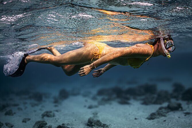 Turtle Snorkeling Aruba: Private Tour with Video - The Experience from the Reviews