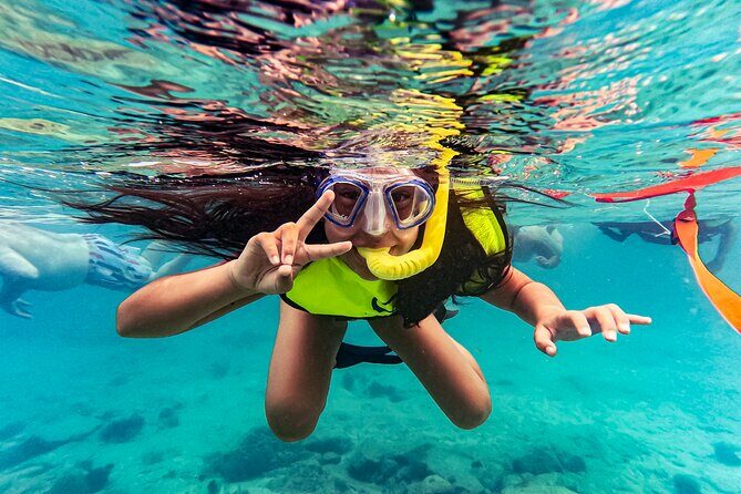 Turtle Snorkeling Tour in Tres Trapi, Aruba - An Authentic Underwater Experience in Aruba
