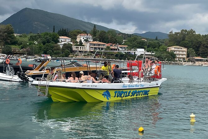 Turtle Spotting Cruise in Zakynthos on a Glass-Bottom Vessel - Positive Customer Experiences