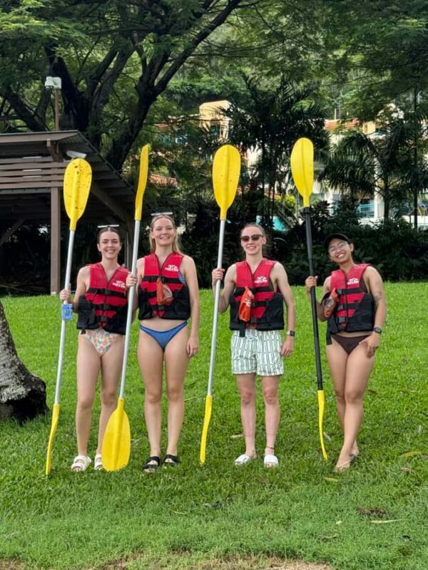 Turtle spotting-Double kayak hire Shingley beach - Key Points