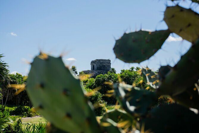 Turtle Swim & Tulum Ruins! Round Transportation from Playa del Carmen - Practical Tips for Making the Most of Your Day