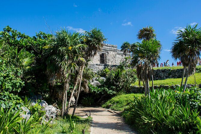 Turtle Swim & Tulum Ruins! Round Transportation from Playa del Carmen - Who Is This Tour Best For?