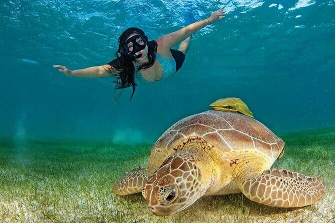 Turtle Swim & Tulum Ruins! Round Transportation from Playa del Carmen - Final Thoughts