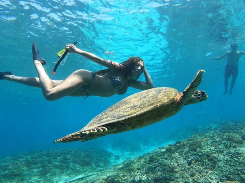 Turtle Tour Gili Island : Private Snorkeling 3 Gilis +Gopro - Inclusions and Equipment