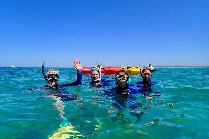 Turtle Tour - Ningaloo Reef Half Day Sea Kayak and Snorkel Tour - Pickup Times