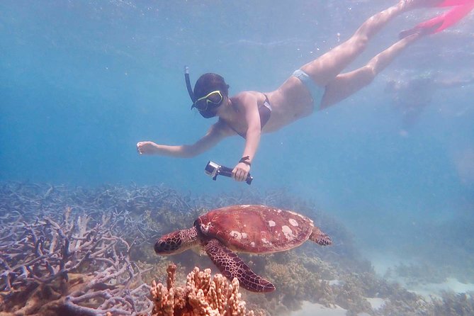 Turtle Tour - Ningaloo Reef Half Day Sea Kayak and Snorkel Tour - Additional Notes