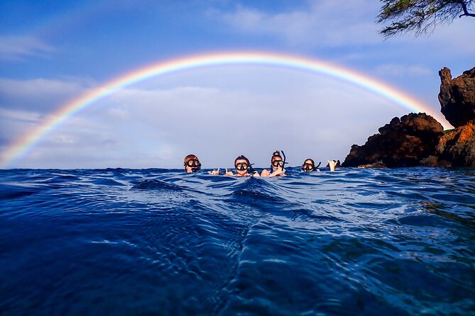 Turtle Town Clear Kayak & Snorkel Tour (11am-1pm) - Customer Impressions
