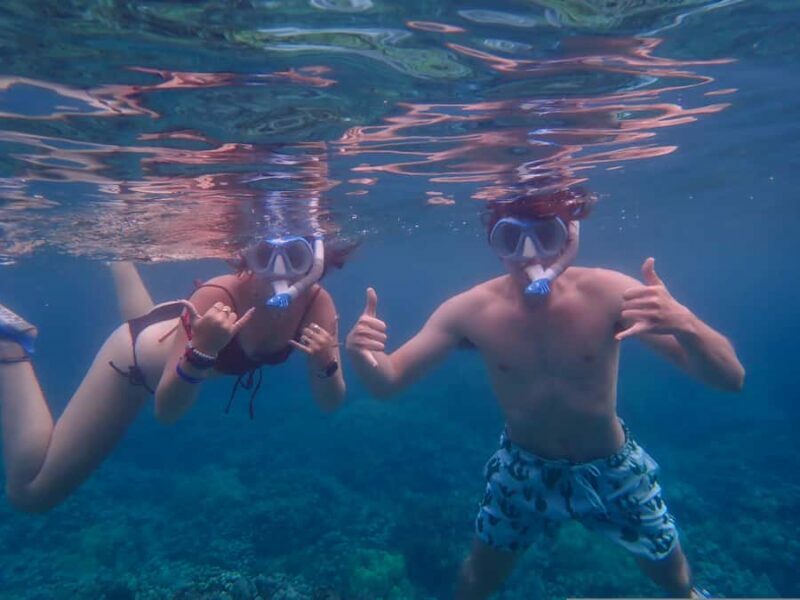 Turtle Town Clear Kayak & Snorkel Tour (7am-9:30am) - Who Should Consider This Tour?