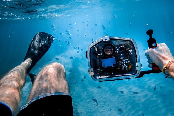 Turtle Town Snorkel With Photo and Video - Additional Information
