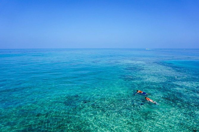 Turtle Town Snorkel With Photo and Video - Price and Special Offer