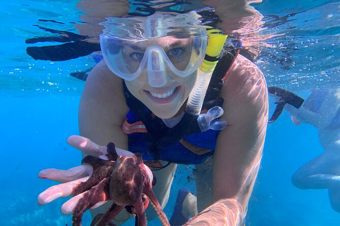 Turtle Town Snorkel With Photo and Video - Personalized Attention
