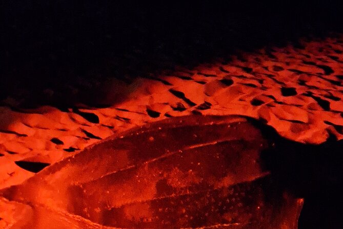 Turtle Watching - Cancellation Policy