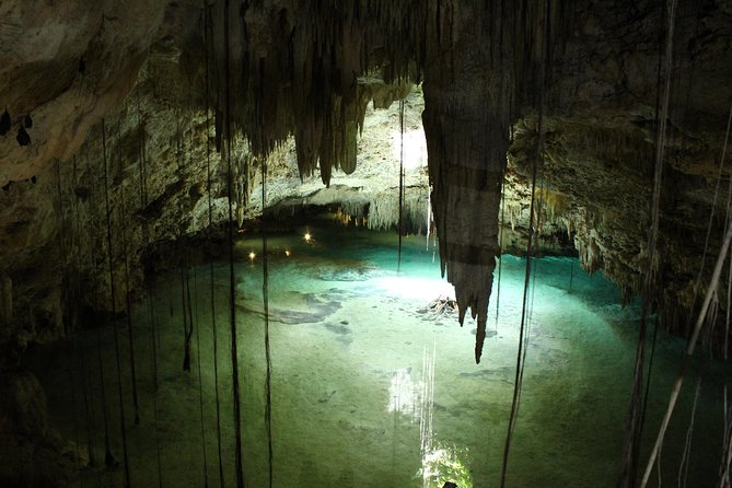 Turtles and Cenote Snorkeling Activity From Riviera Maya - Pickup and Logistics