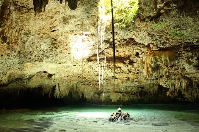 Turtles and Cenote Snorkeling Activity From Riviera Maya - Frequently Asked Questions