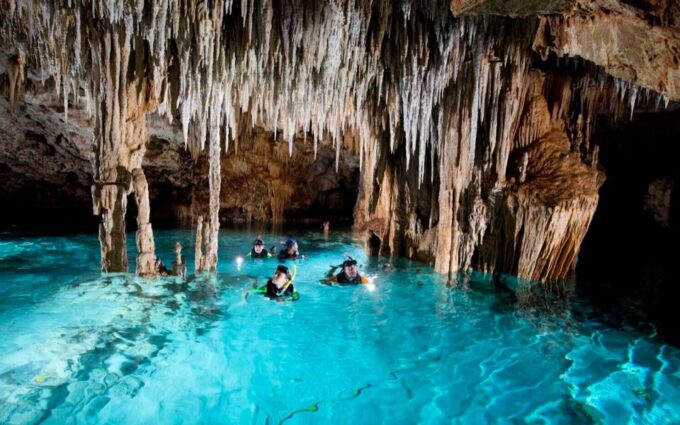Turtles and Cenotes Tour - Important Details