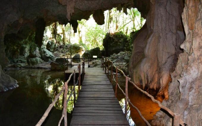 Turtles and Cenotes Tour - Customer Feedback