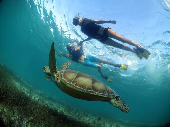 Turtles and Cenotes Tour - Contact Information