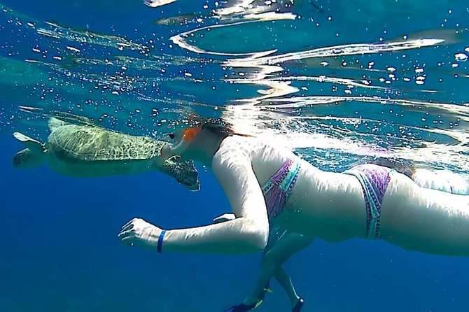 Turtles Bay, Swimming With Turtles Hurghada & Marsa ALAM - Inclusions and Amenities