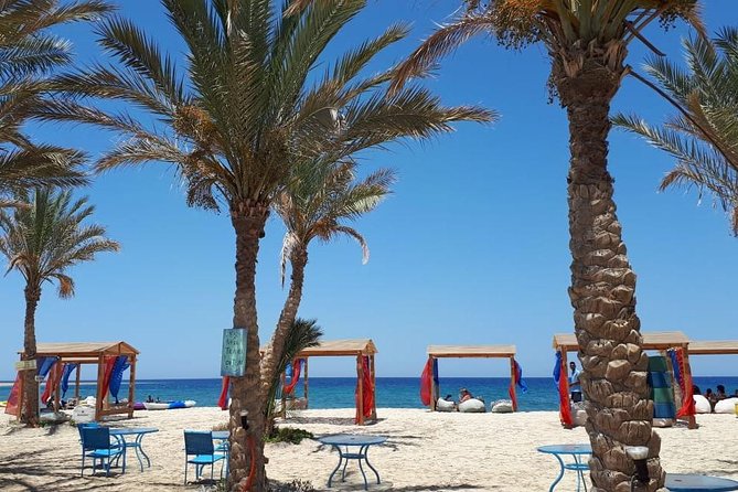 Turtles Bay, Swimming With Turtles Hurghada & Marsa ALAM - Accessibility and Traveler Information