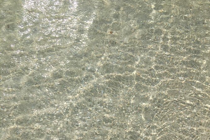Turtles Beach Snorkeling - Accessible and Inclusive