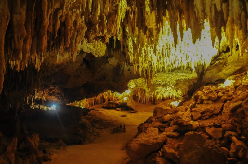 Turtles & Cenotes Half-Day Tour From Riviera Maya. - Important Information