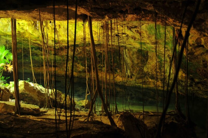 Turtles & Cenotes Half-Day Tour From Riviera Maya. - Customer Feedback