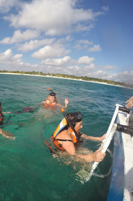 Turtles & Cenotes Half-Day Tour From Riviera Maya. - Exploring Cenotes