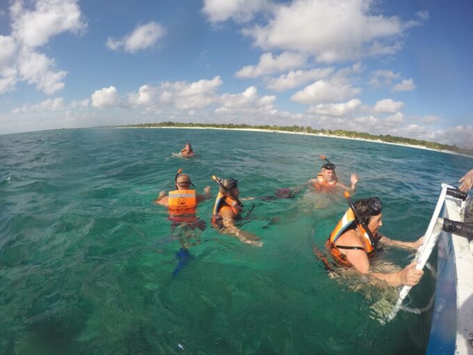 Turtles & Cenotes Half-Day Tour From Riviera Maya. - Frequently Asked Questions
