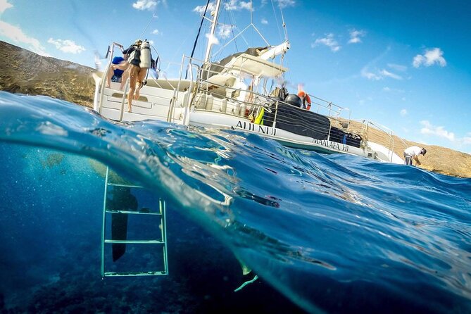 Turtles & Tacos Luxury Catamaran Snorkel - Pricing and Policies