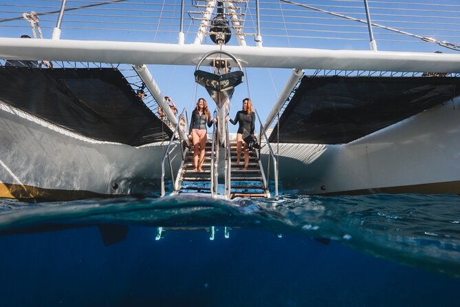 Turtles & Tacos Luxury Catamaran Snorkel - Taco Bar and Open Bar