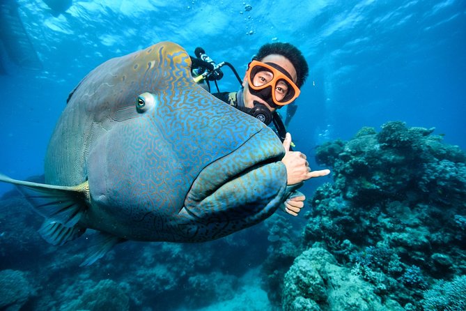 Tusa Reef Tours All Inclusive Great Barrier Reef Tour From Cairns - Additional Information