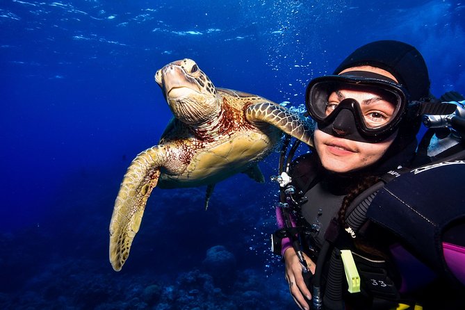 Tusa Reef Tours All Inclusive Great Barrier Reef Tour From Cairns - Preparing for the Tour